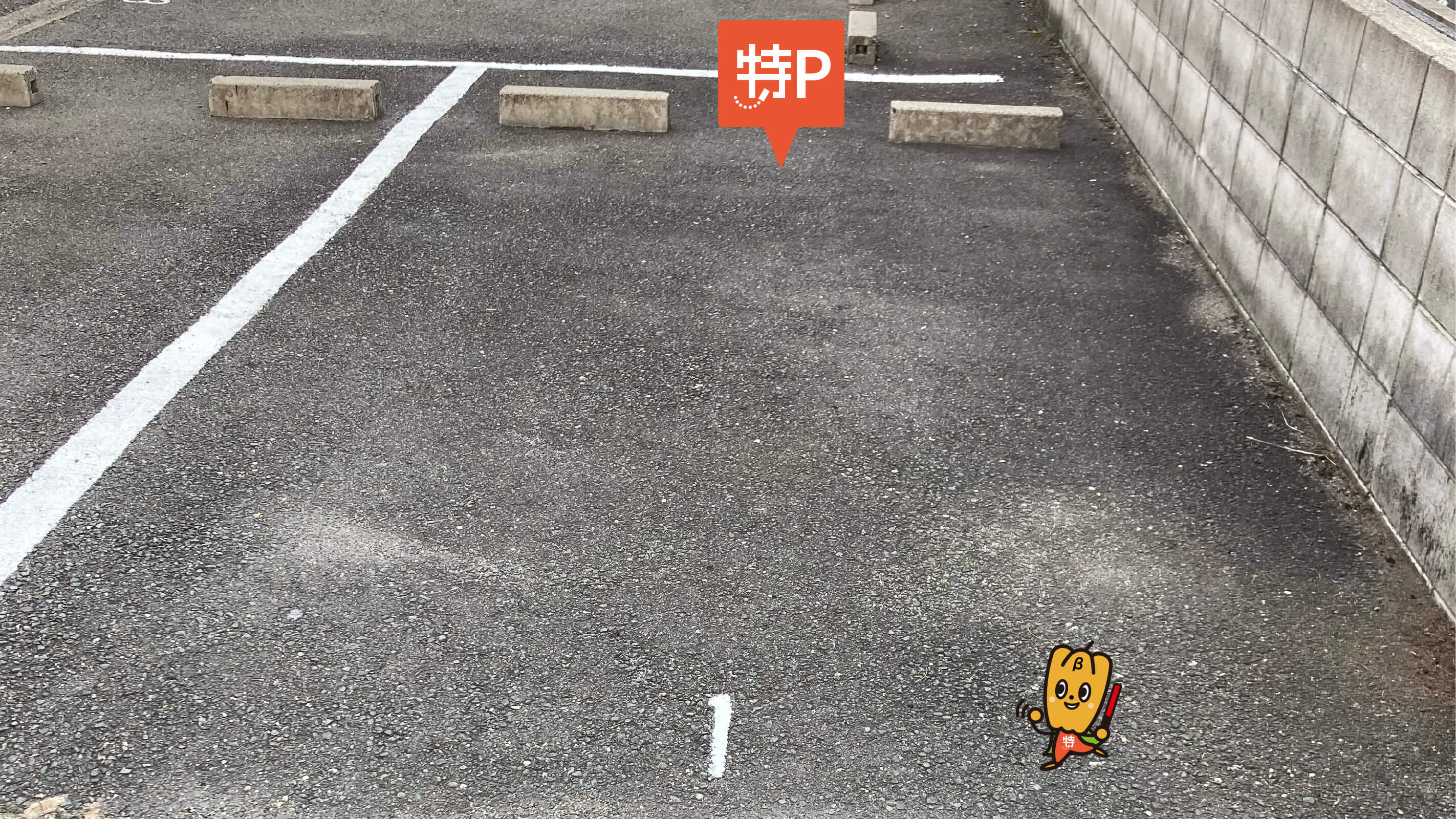京都から近くて安い八条源町１１０駐車場