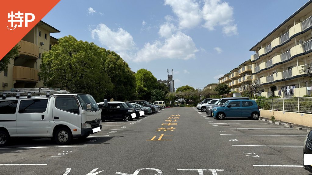 【予約制】特P 【209番】引山荘駐車場の画像1