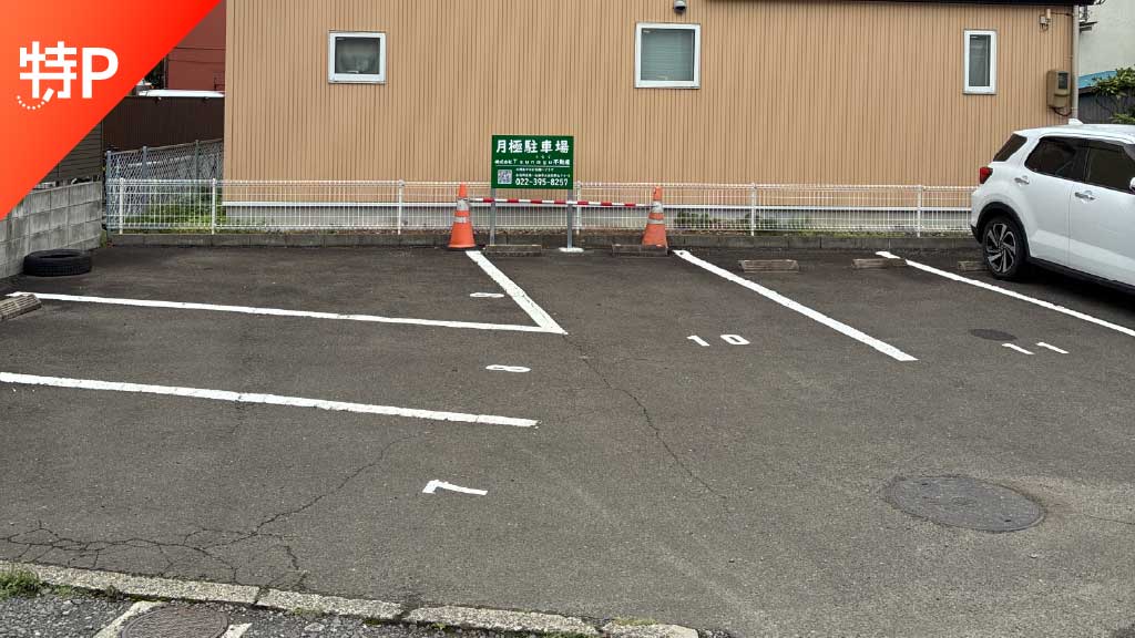 place holder