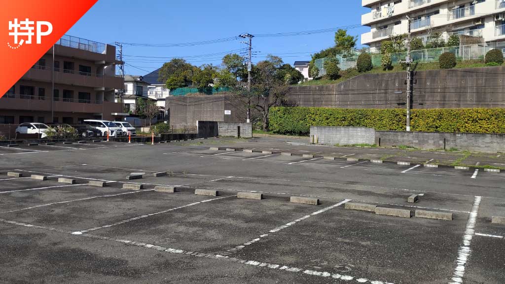 place holder