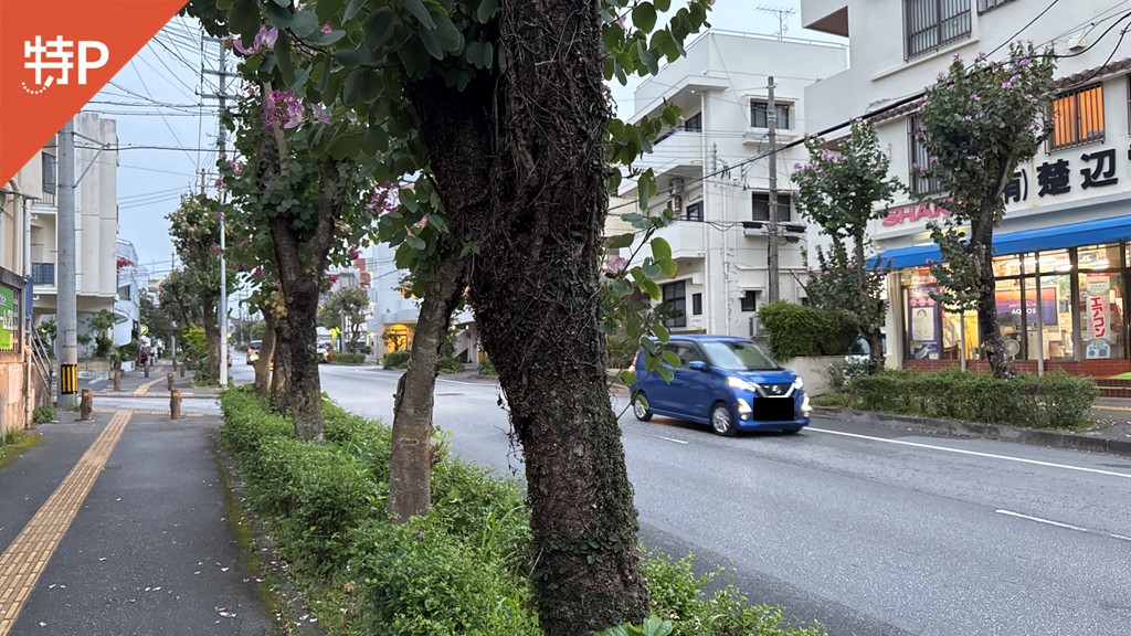 楚辺1丁目駐車場の写真
