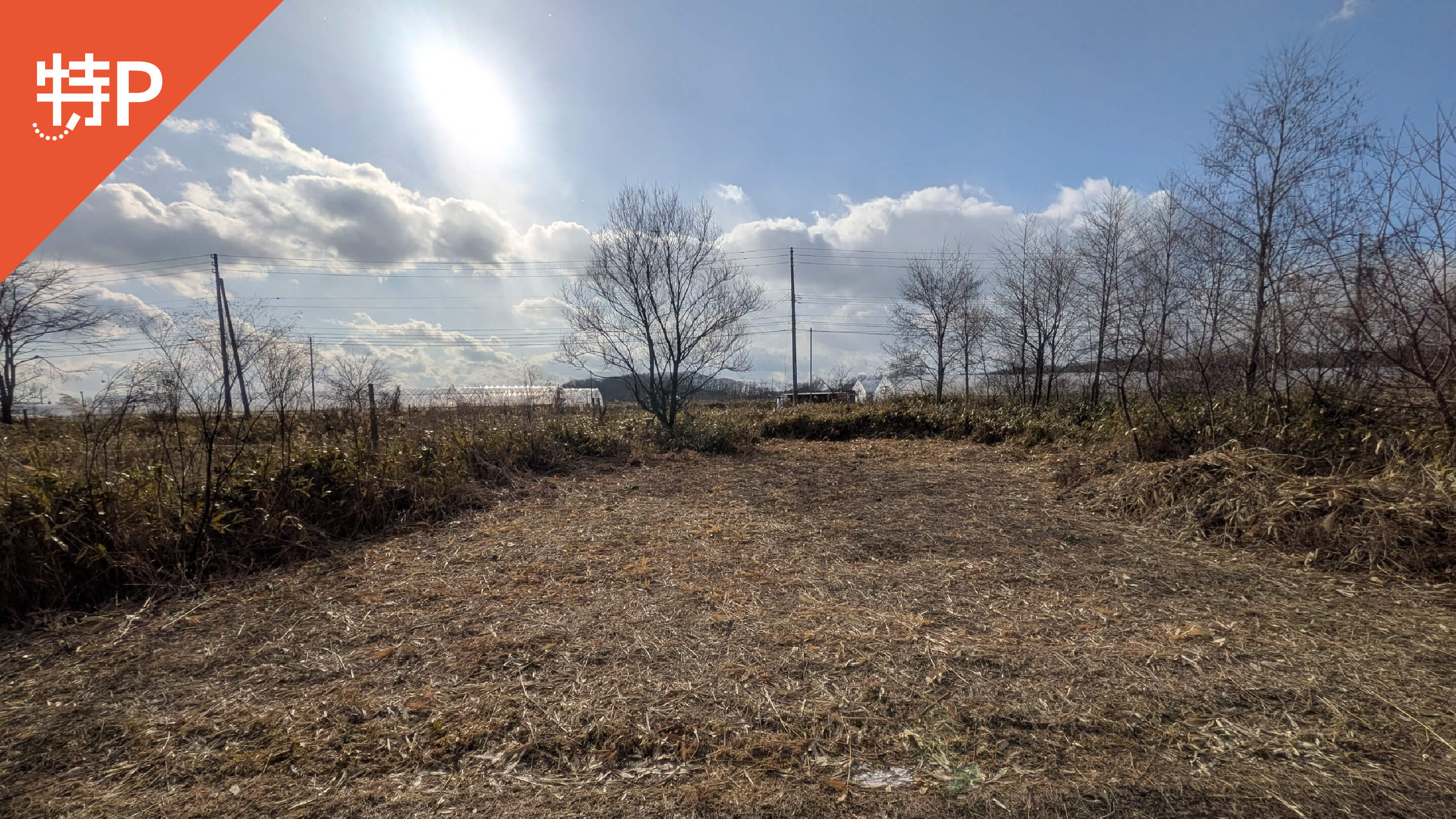 【予約制】特P 字樽前293-55 付近駐車場の画像1