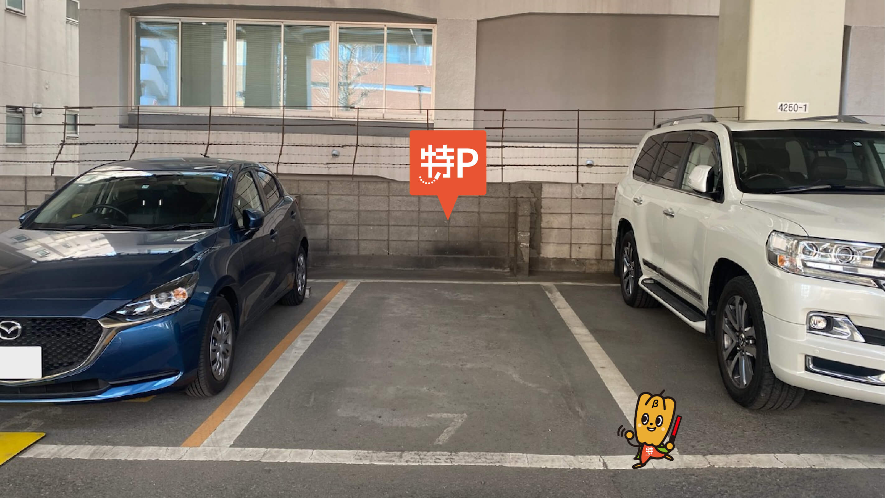 明治神宮から近くて安い西参道B駐車場