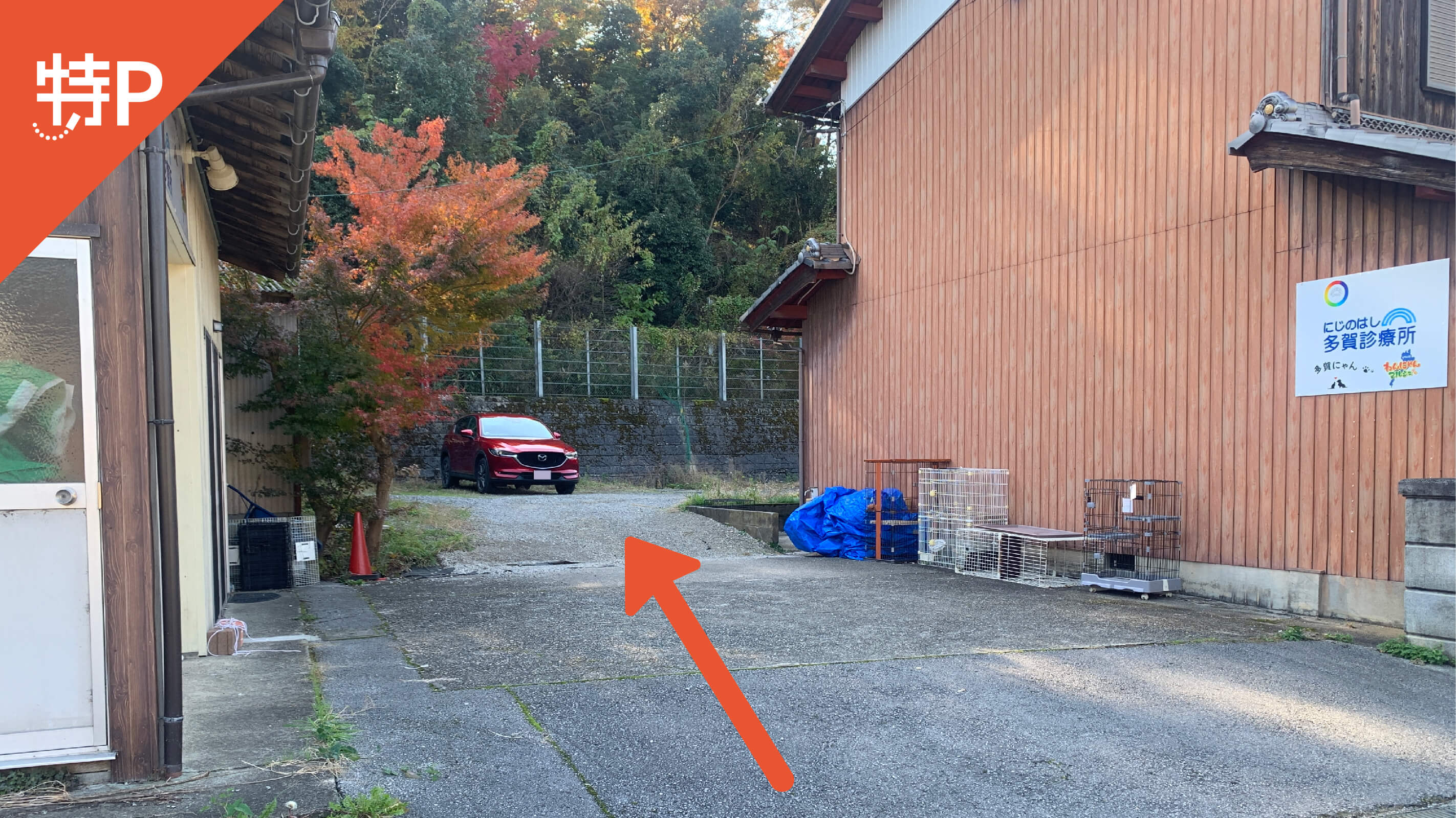 【予約制】特P 多賀576駐車場の画像1