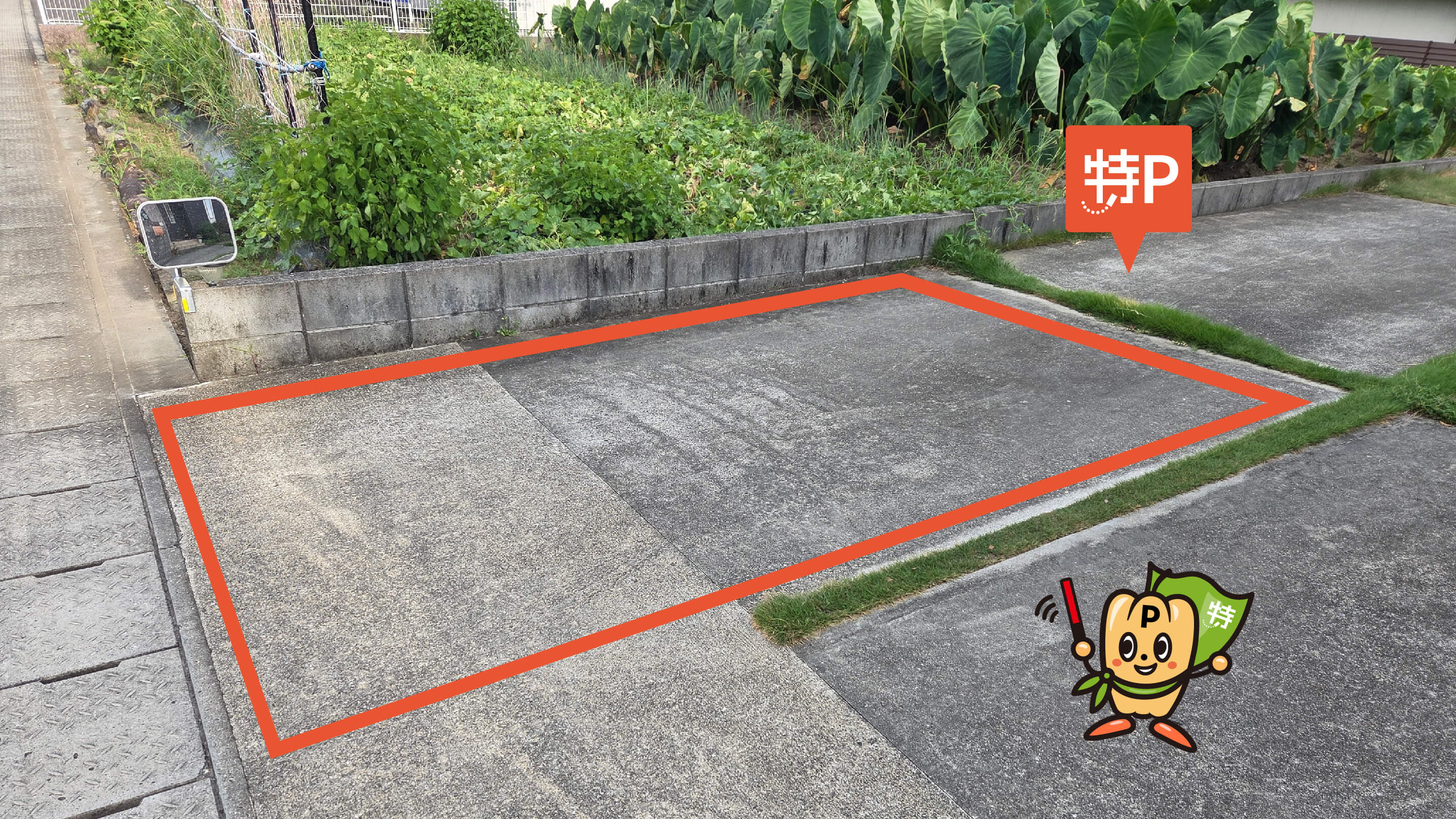 八代トヨオカ地建アリーナから近くて安い《軽・コンパクト》麦島東町2-18駐車場