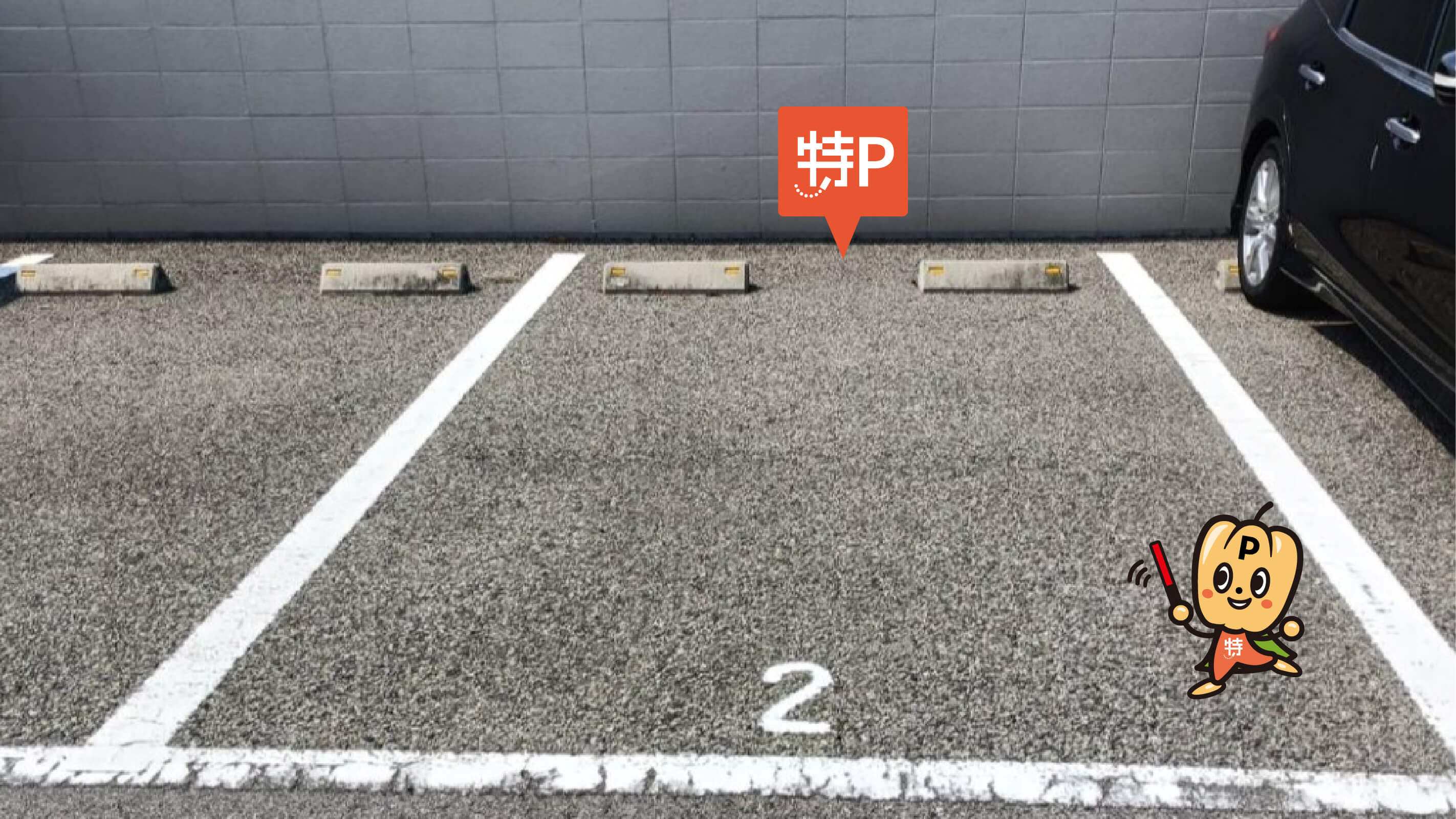 和泉府中駅から近くて安い板原町3-13　くすのき駐車場