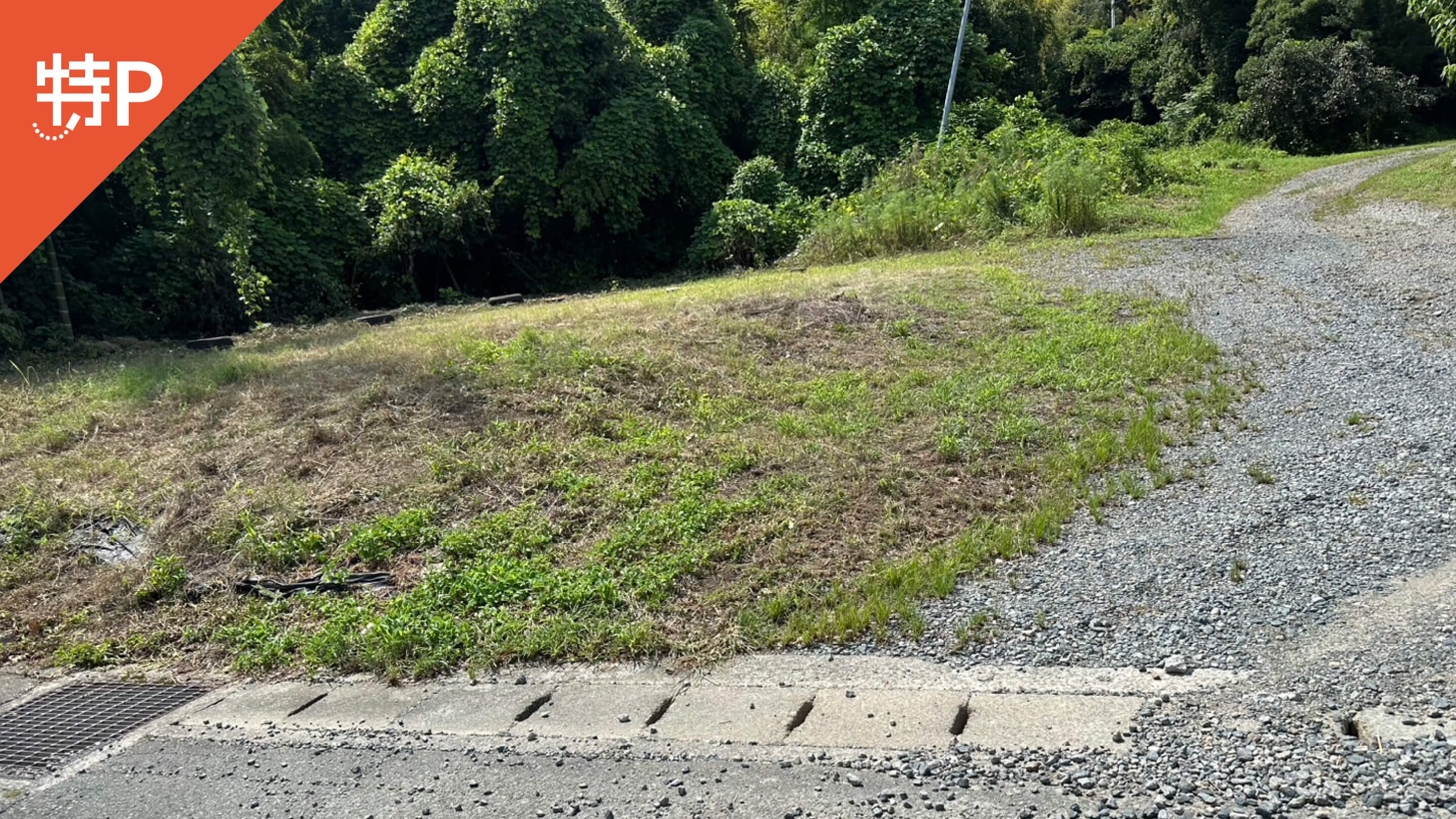 【予約制】特P 花園駐車場の画像1