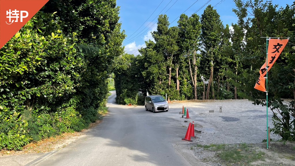 備瀬フクギ並木駐車場の写真