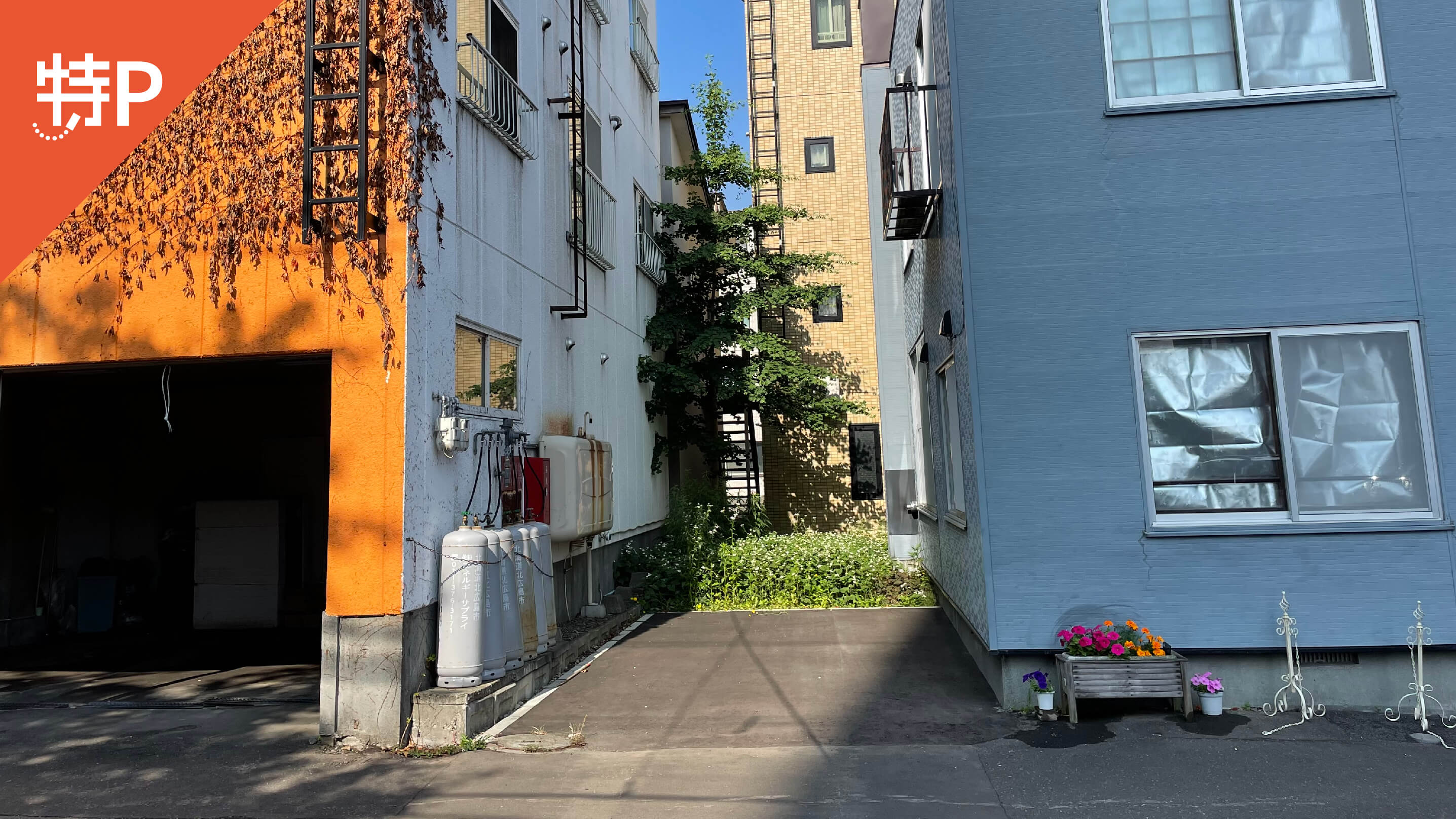 place holder