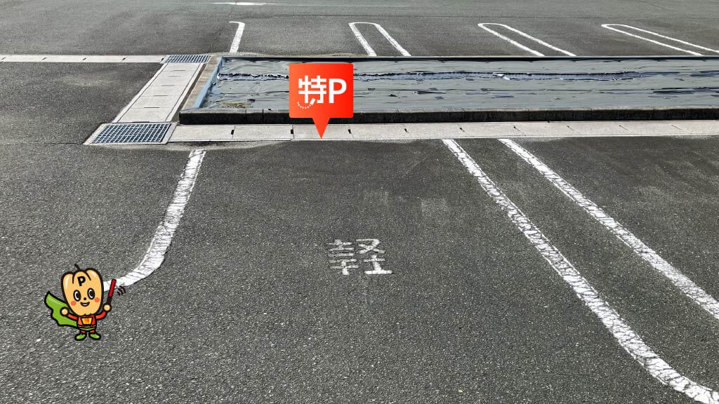 航空自衛隊 浜松広報館 エアーパークから近くて安い【北側(軽専用)】マルハン浜松泉店駐車場