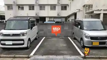 特P 南金田2-4駐車場の車室