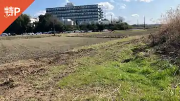 特P 丸加運輸空き地駐車場の全体