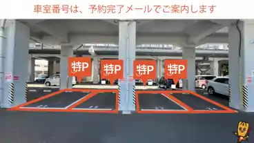 特P 中島第1月極駐車場の車室