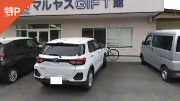 特P 御薗町3019-1駐車場の全体