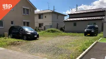 特P 飯岡新田駐車場の全体