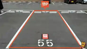 特P 【55番】正保荘駐車場の車室