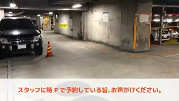 特P 【高さ155cmまで(青パレットのみ)】《サイズ・重量制限有り》エスカールなんば駐車場のその他2