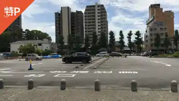 特P 【5時間制】岡崎公園平面駐車場の全体