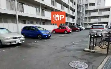 特P マンション塚口駐車場の全体